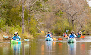 Group Canoeing and Kayaking - Okefenokee Swamp