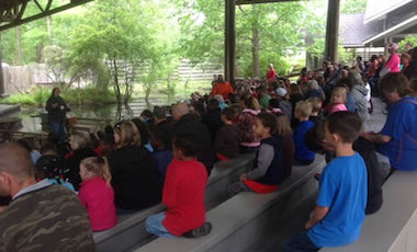 Okefenokee Swamp Park Daily Nature Show