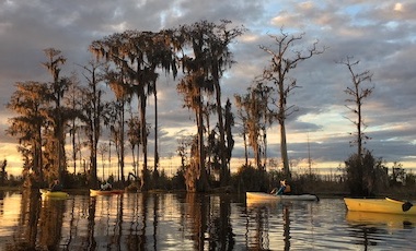 Kakayers at Sunset on the Okefenokee Swamp Prairi